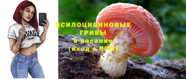 гидропоника Переславль-Залесский