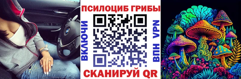 Псилоцибиновые грибы прущие грибы  Купить где  Удомля 